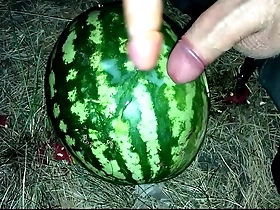 I found a watermelon in the forest and fucked it with two members / male orgasm / russian dirty talk / dildo